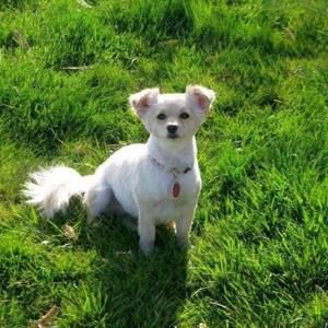 Meet your Posher, Stephenie